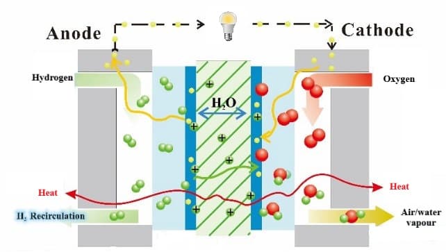proton exchange membrane fuel cells proton exchange membrane fuel cells